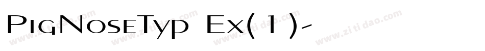 PigNoseTyp Ex(1)字体转换